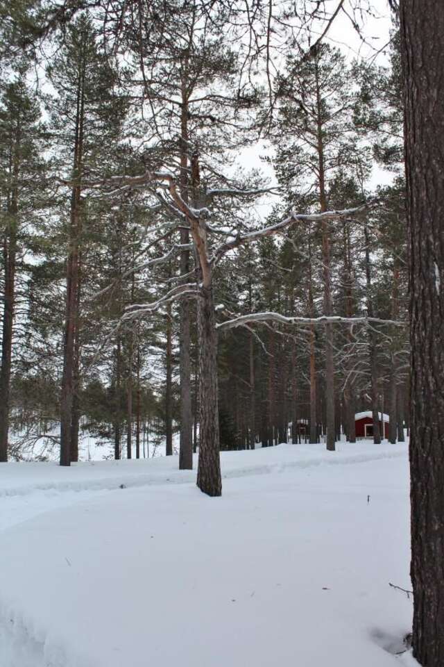 Дома для отпуска Petäjäkylä Куусамо-40